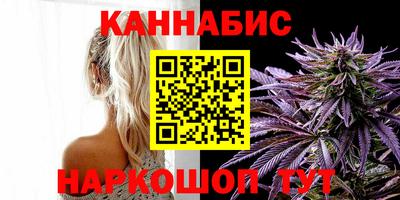 сатива Малгобек