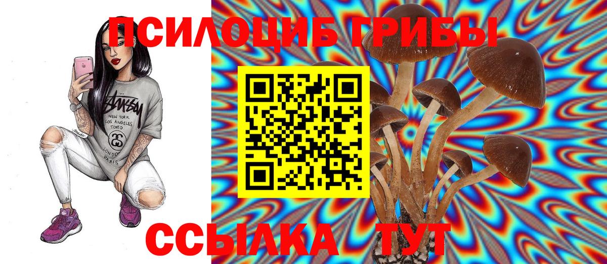 Псилоцибиновые грибы мицелий Усть-Илимск